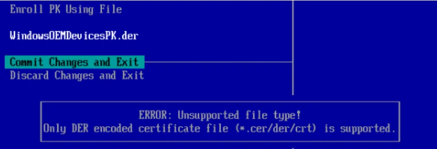 No VMware é preciso trocar PK e KEK manualmente pela EFI setup